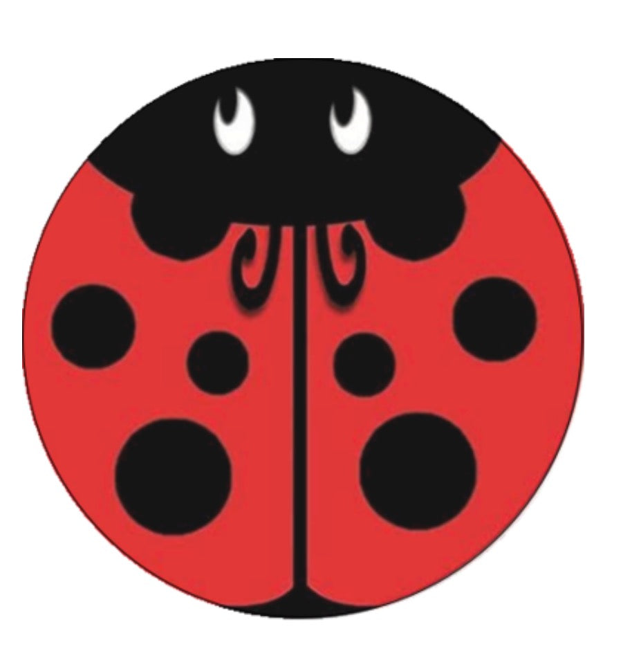 Ladybug