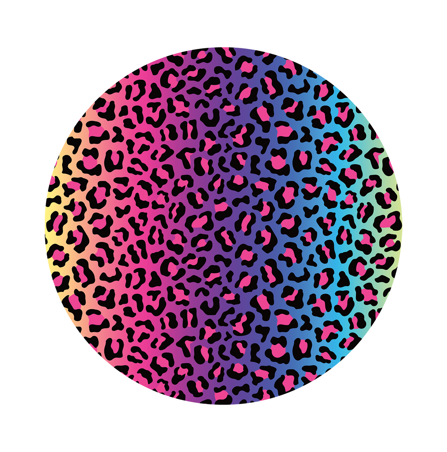 Colorful cheetah 4