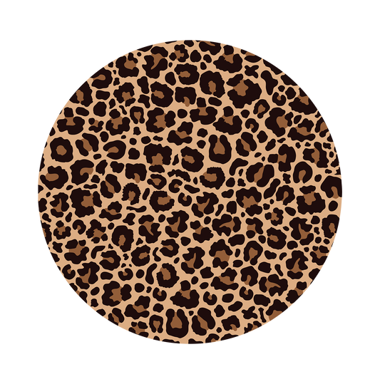 Cheetah 3