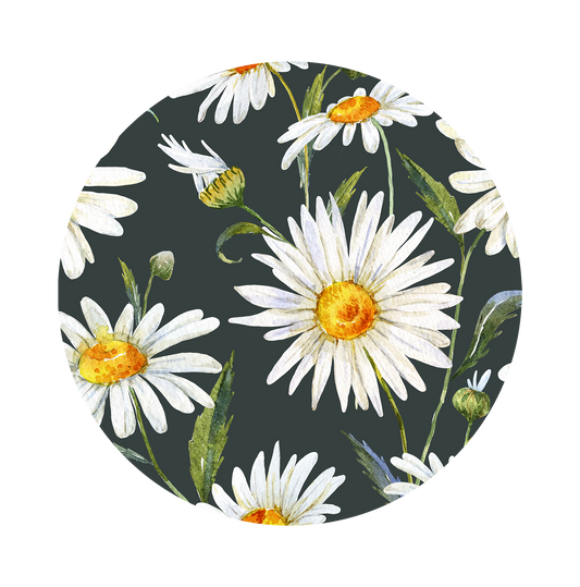 Daisies